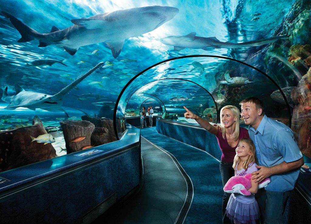 Myrtle beach broadway sc things carolina south attractions fun shopping restaurants north visit places inn holiday activities tours resort coral Broadway at the Beach - Happy Clients | LHWH Advertising & PR